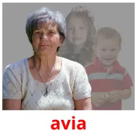 avia Tarjetas didacticas