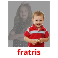 fratris Tarjetas didacticas