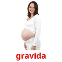 gravida Tarjetas didacticas