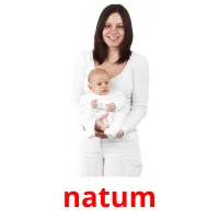 natum Tarjetas didacticas