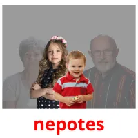 nepotes Tarjetas didacticas