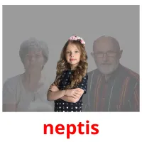 neptis Tarjetas didacticas