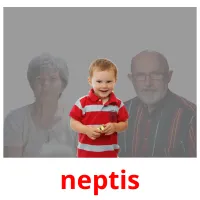 neptis Tarjetas didacticas