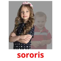 sororis Tarjetas didacticas