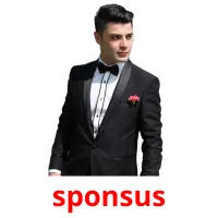 sponsus Tarjetas didacticas