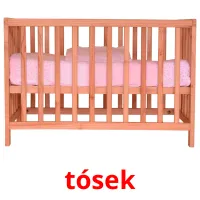 tósek picture flashcards