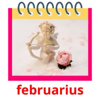 februarius cartes flash