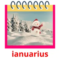 ianuarius cartes flash