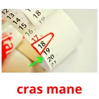 cras mane Tarjetas didacticas