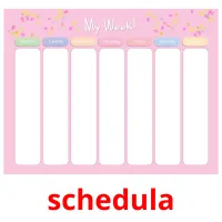 schedula Tarjetas didacticas