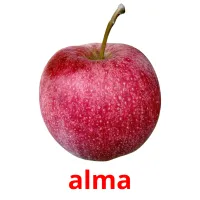 alma flashcards illustrate