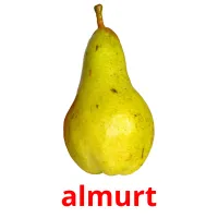 almurt flashcards illustrate