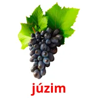 júzіm flashcards illustrate