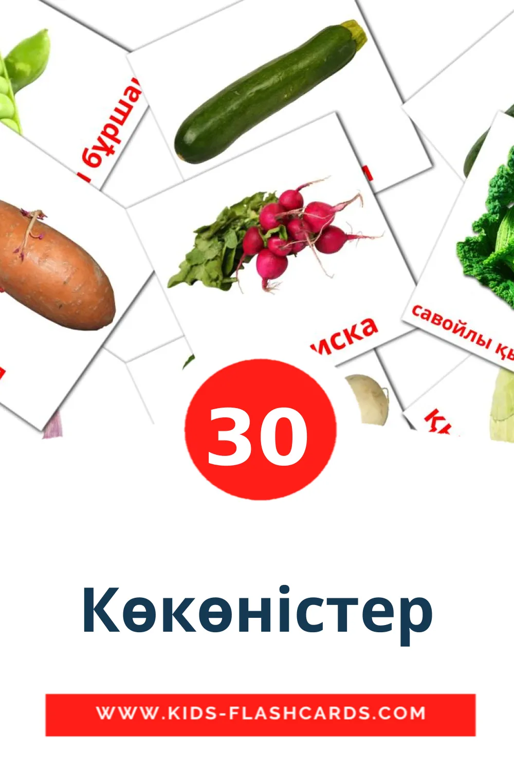 30 Көкөністер Picture Cards for Kindergarden in kazakhksi(latina)