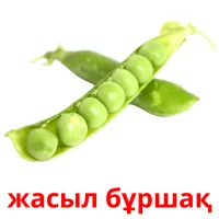 жасыл бұршақ picture flashcards