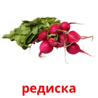 редиска picture flashcards