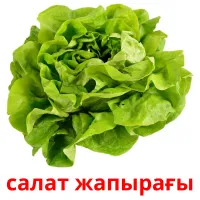 салат жапырағы picture flashcards
