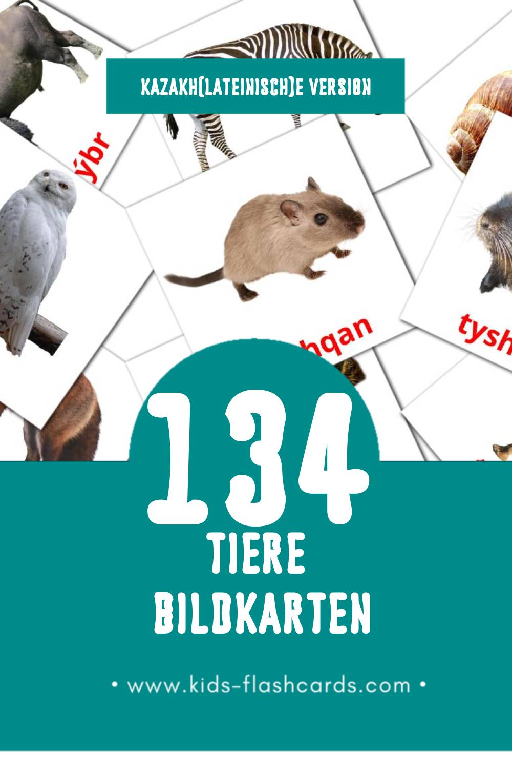 Visual Janýarlar Flashcards für Kleinkinder (134 Karten in Kazakh(lateinisch))