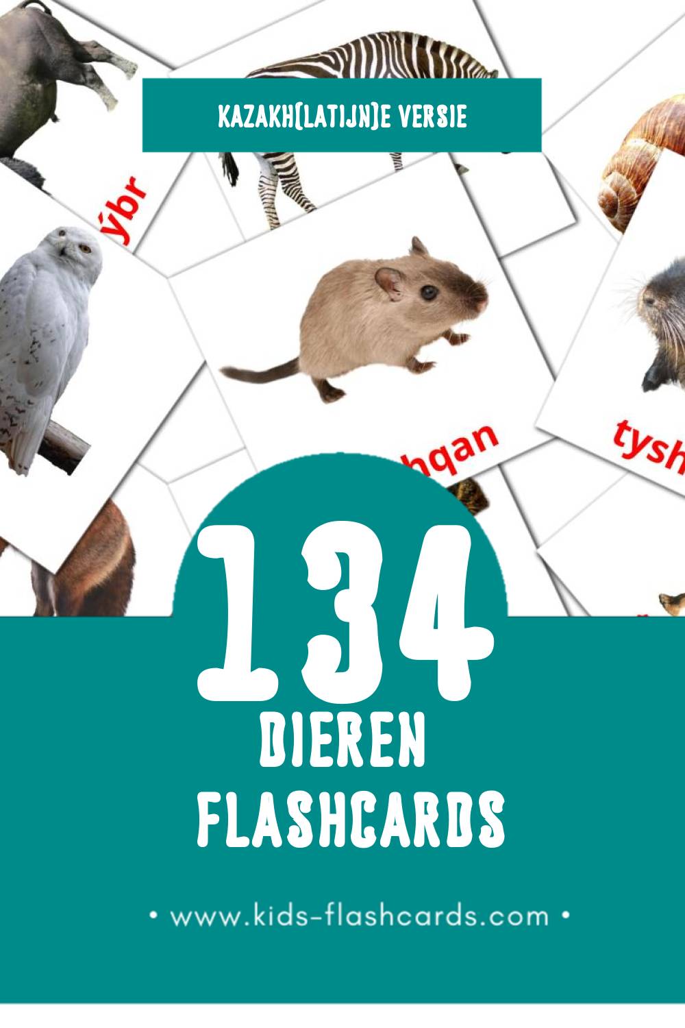 Visuele Janýarlar Flashcards voor Kleuters (134 kaarten in het Kazakh(latijn))