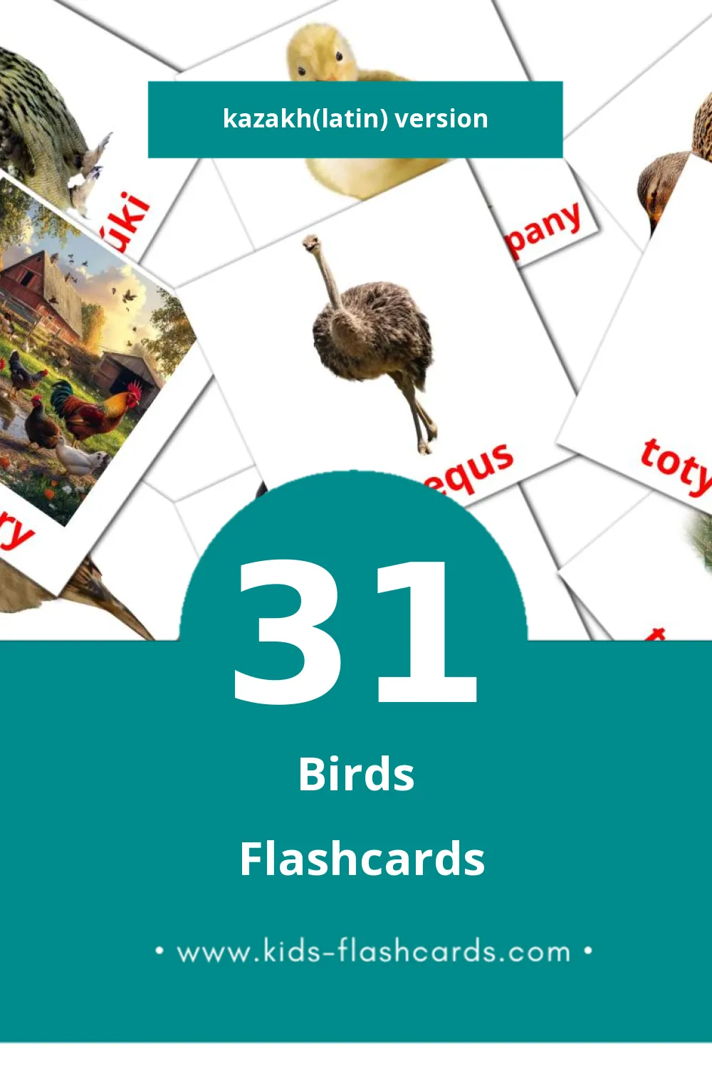 Visual KÝS Flashcards for Toddlers (31 cards in Kazakh(latin))