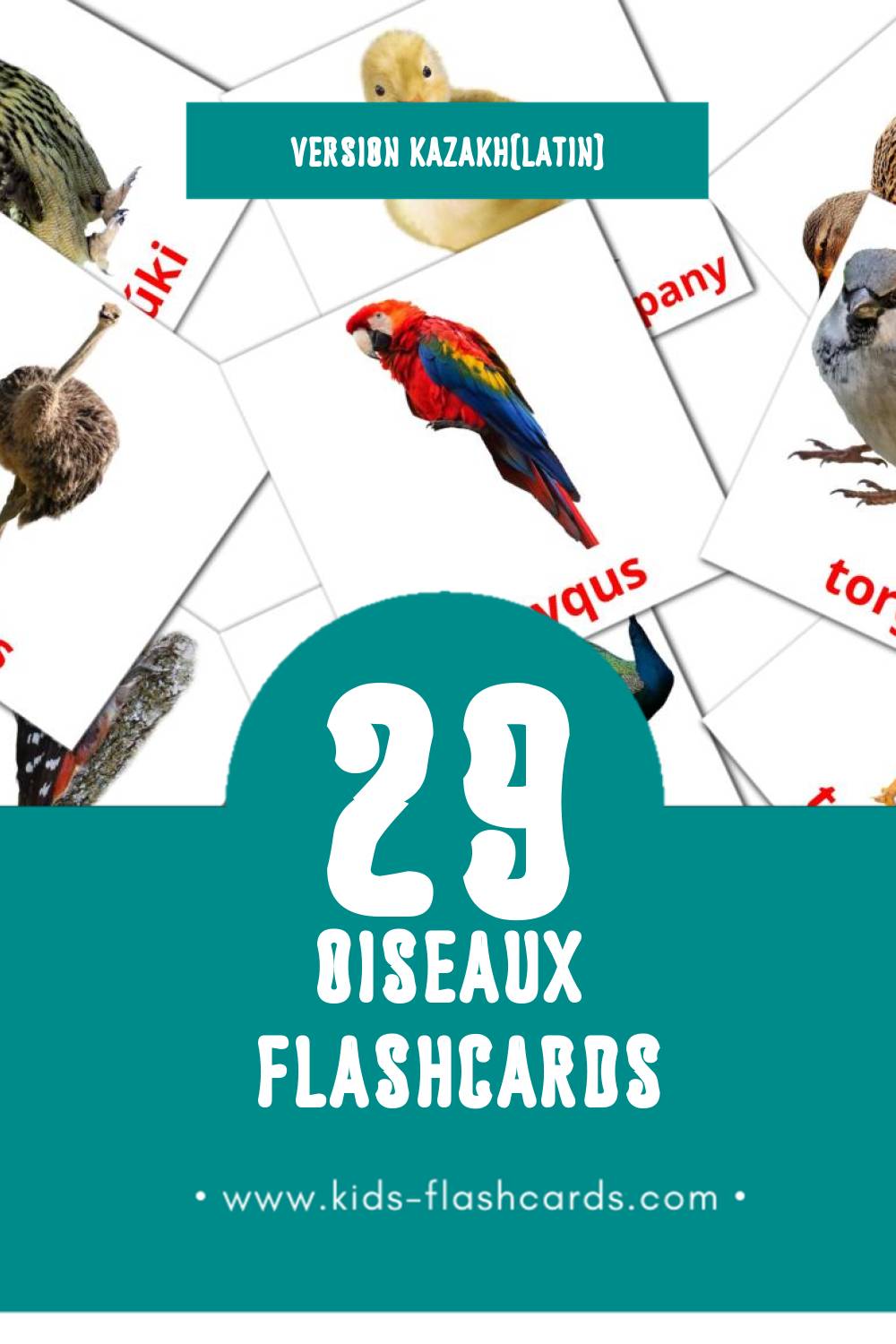 Flashcards Visual KÝS pour les tout-petits (29 cartes en Kazakh(latin))