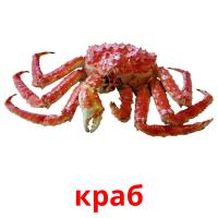 краб picture flashcards