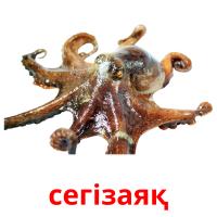 сегізаяқ picture flashcards