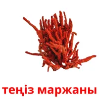 теңіз маржаны карточки энциклопедических знаний