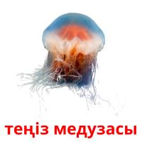 теңіз медузасы flashcards illustrate