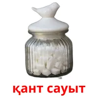 қант сауыт Bildkarteikarten