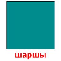 шаршы picture flashcards