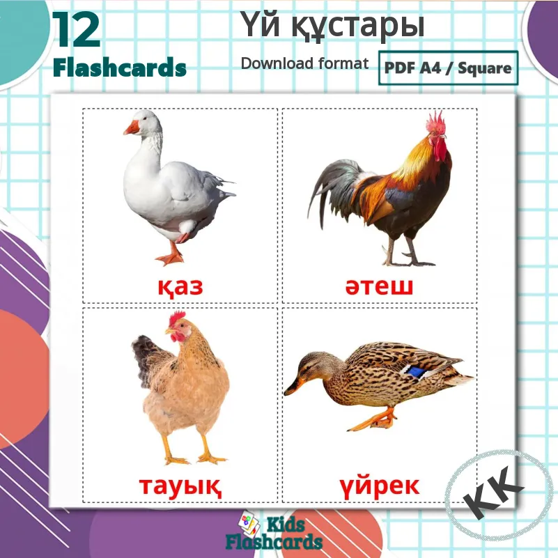 Порно мектептегі жасырын камера Әйелдердің бөкселерінде түкті