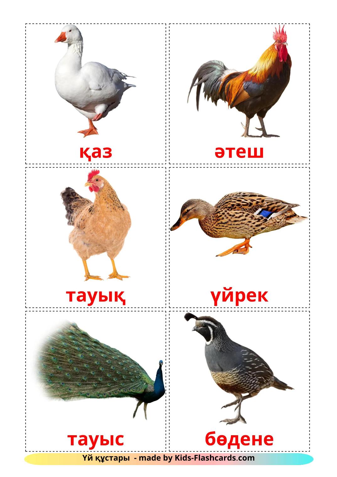 Farm birds - 12 Free Printable kazakh Flashcards 