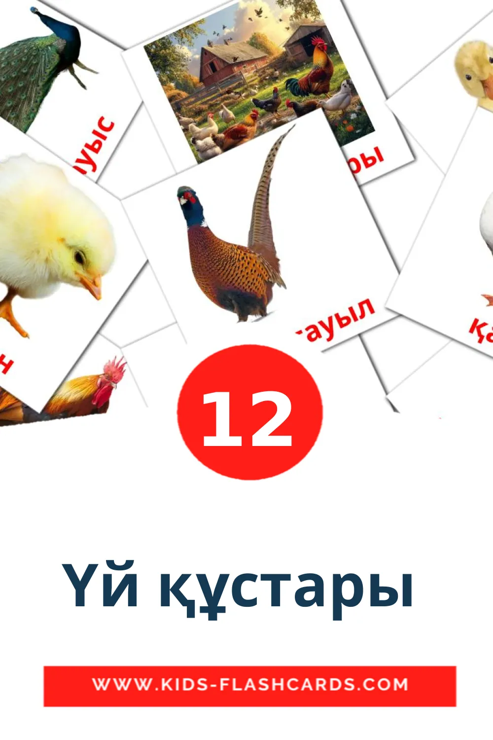 12 Үй құстары  Picture Cards for Kindergarden in kazakh