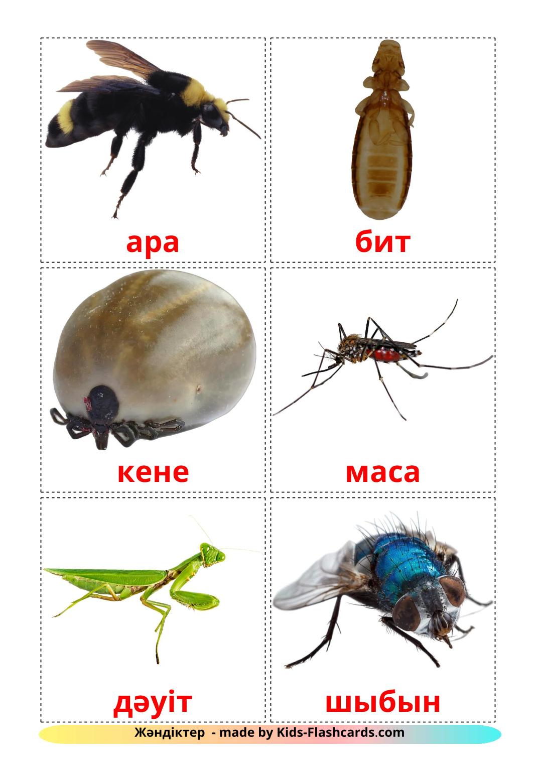 Les Insectes - 23 Flashcards kazakh imprimables gratuitement