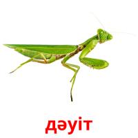 дәуіт picture flashcards