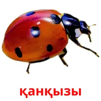 қанқызы карточки энциклопедических знаний