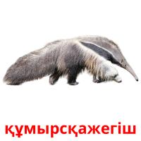 құмырсқажегіш picture flashcards