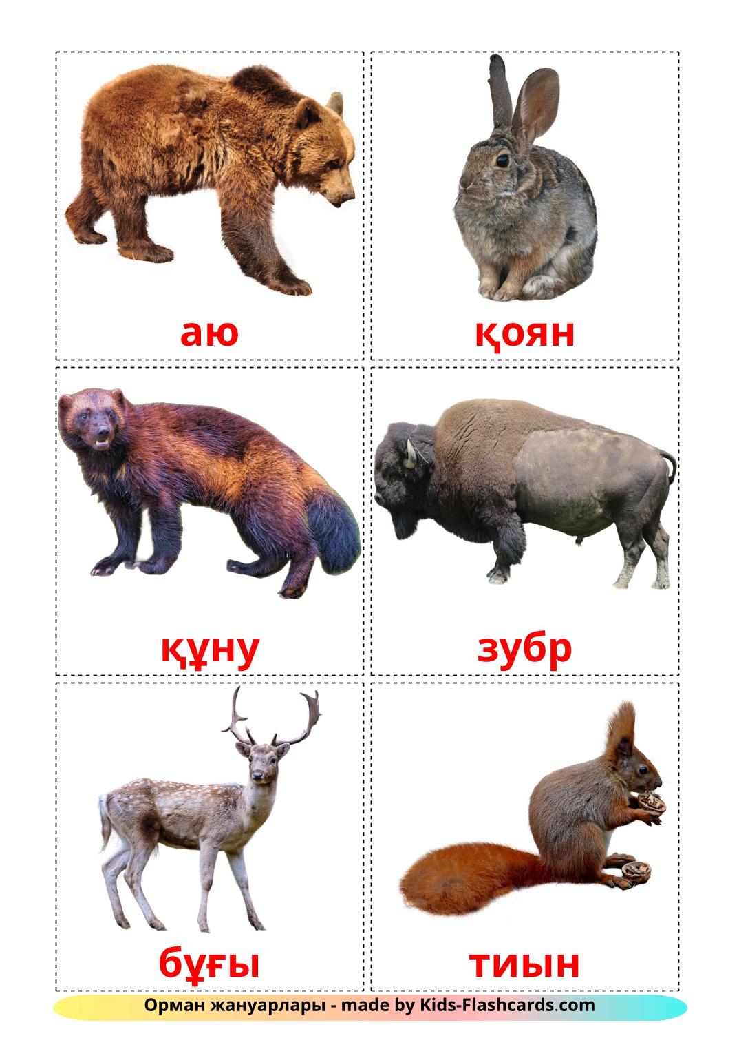 Animali della foresta - 22 flashcards kazakh stampabili gratuitamente