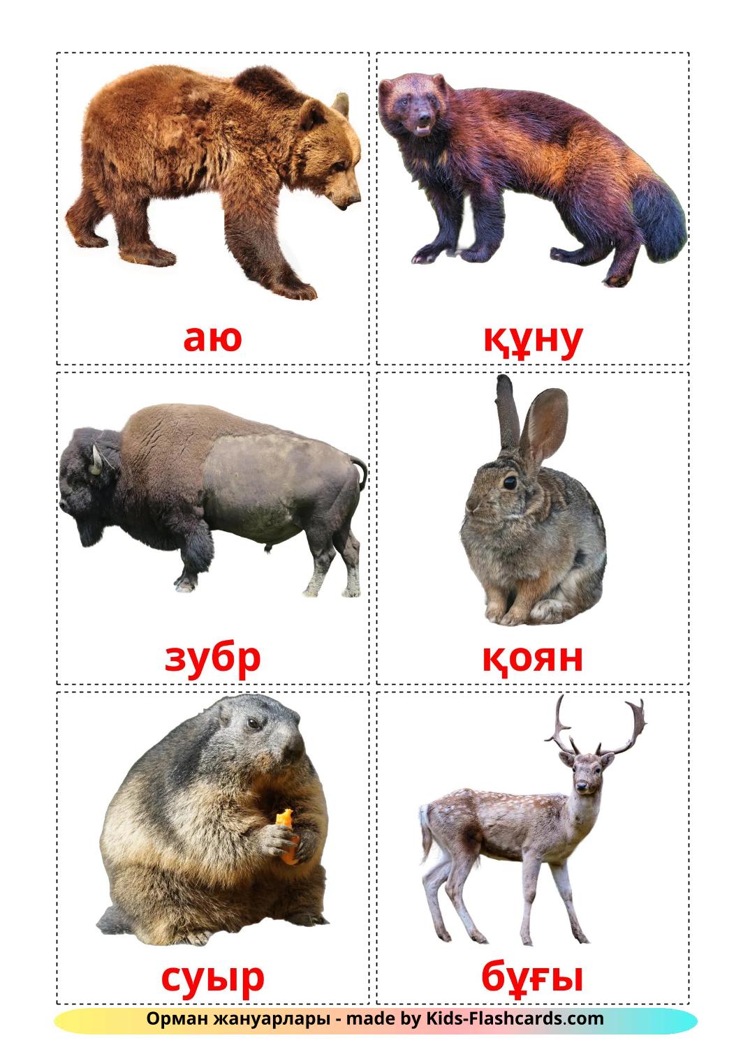 Forest animals - 23 Free Printable kazakh Flashcards 