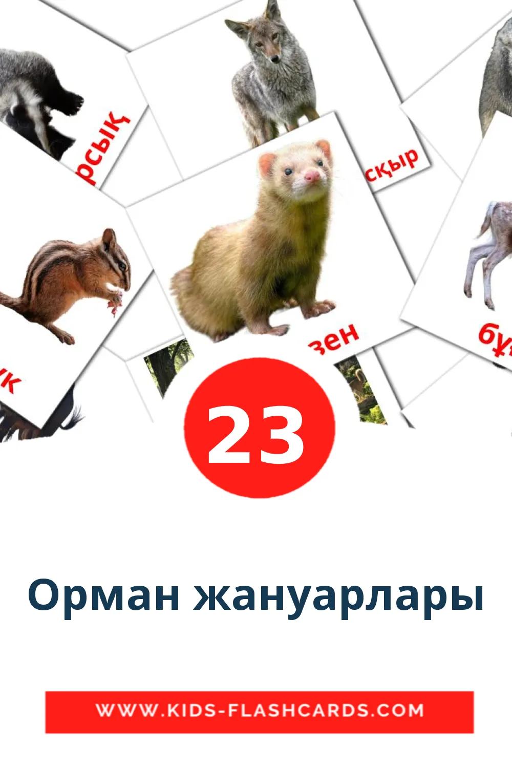 23 Орман жануарлары Picture Cards for Kindergarden in kazakh