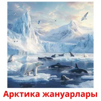 Арктика жануарлары picture flashcards