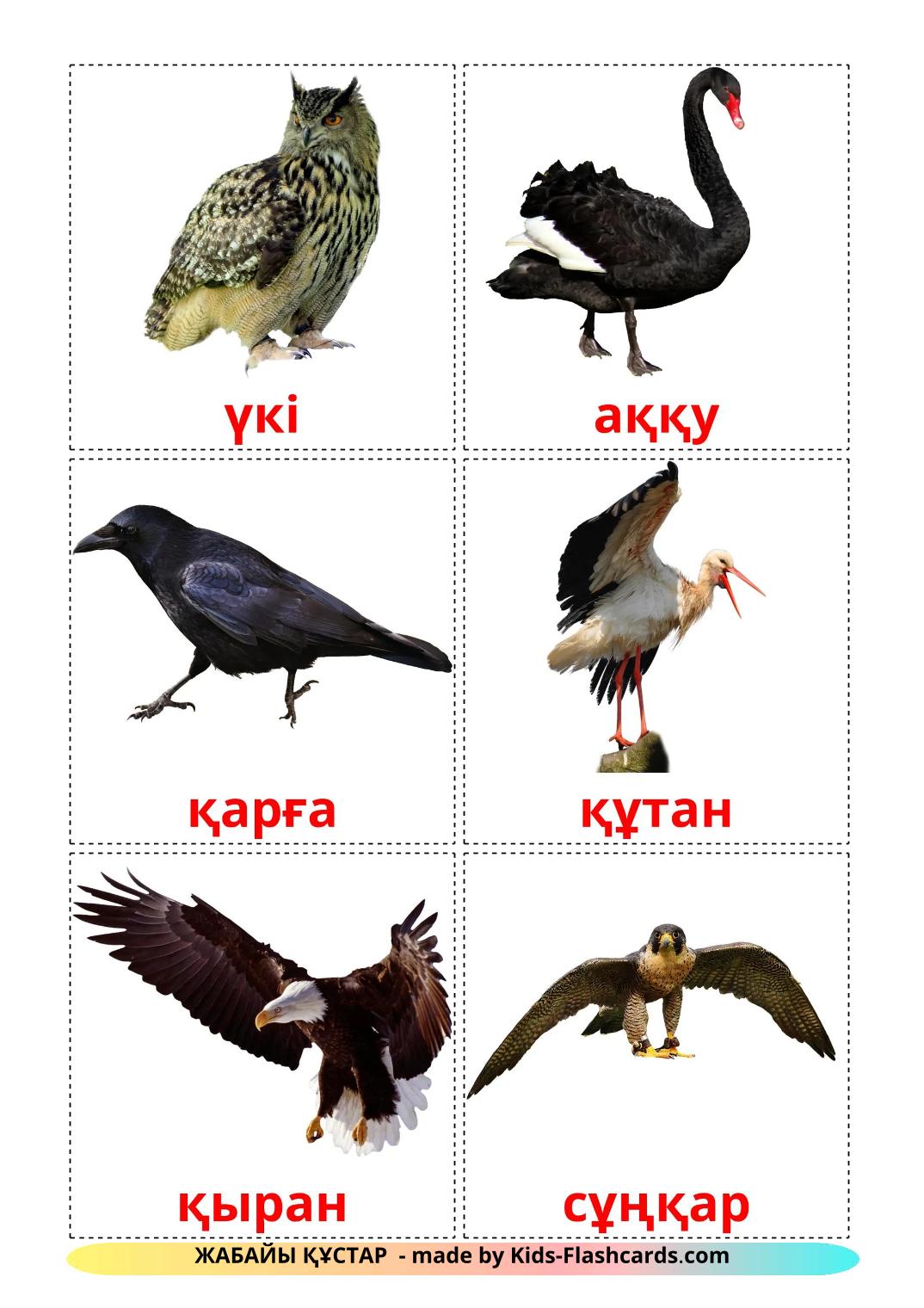 Wild birds - 19 Free Printable kazakh Flashcards 