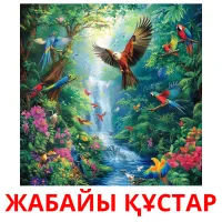 ЖАБАЙЫ ҚҰСТАР picture flashcards