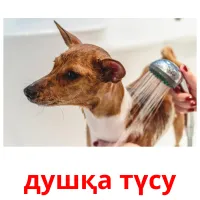 душқа түсу Bildkarteikarten