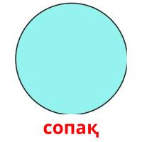 сопақ picture flashcards