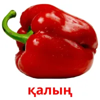 қалың карточки энциклопедических знаний