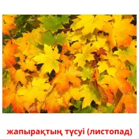 жапырақтың түсуі (листопад) picture flashcards