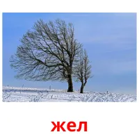 жел picture flashcards