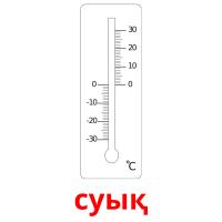 суық picture flashcards